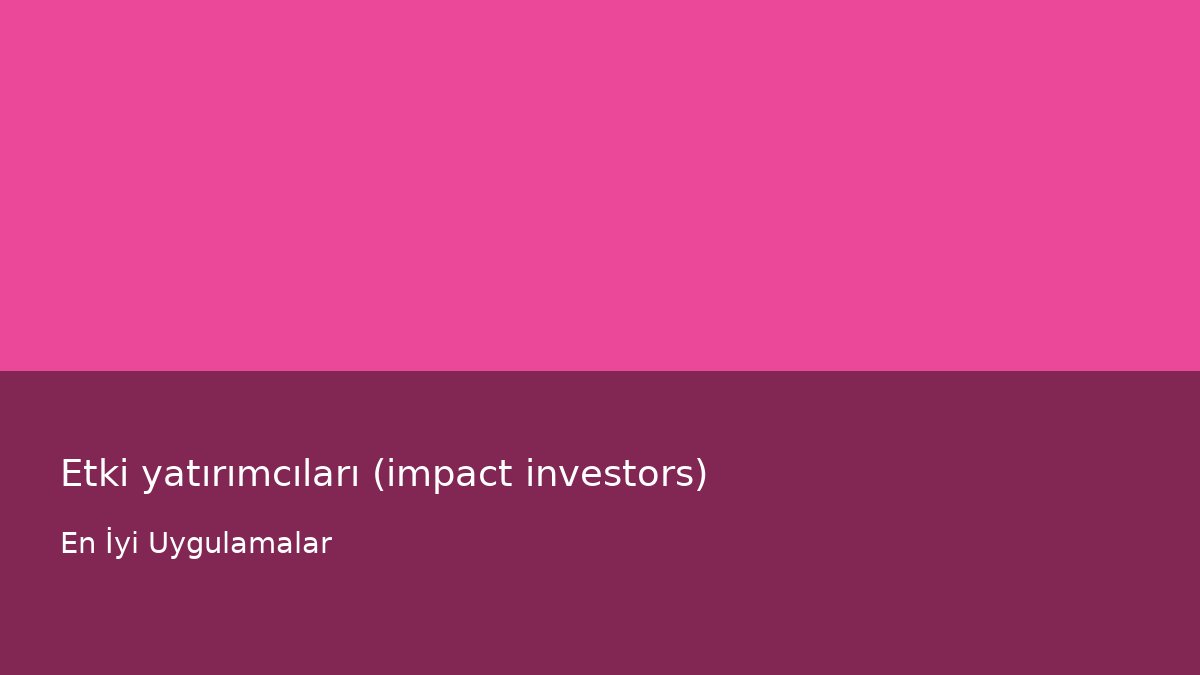 Etki yatırımcıları (impact investors) - En İyi Uygulamalar
