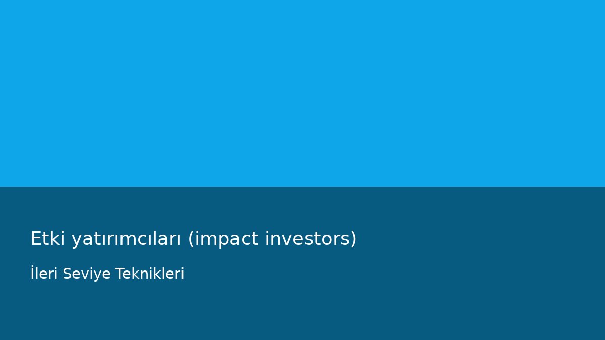 Etki yatırımcıları (impact investors) - İleri Seviye Teknikleri