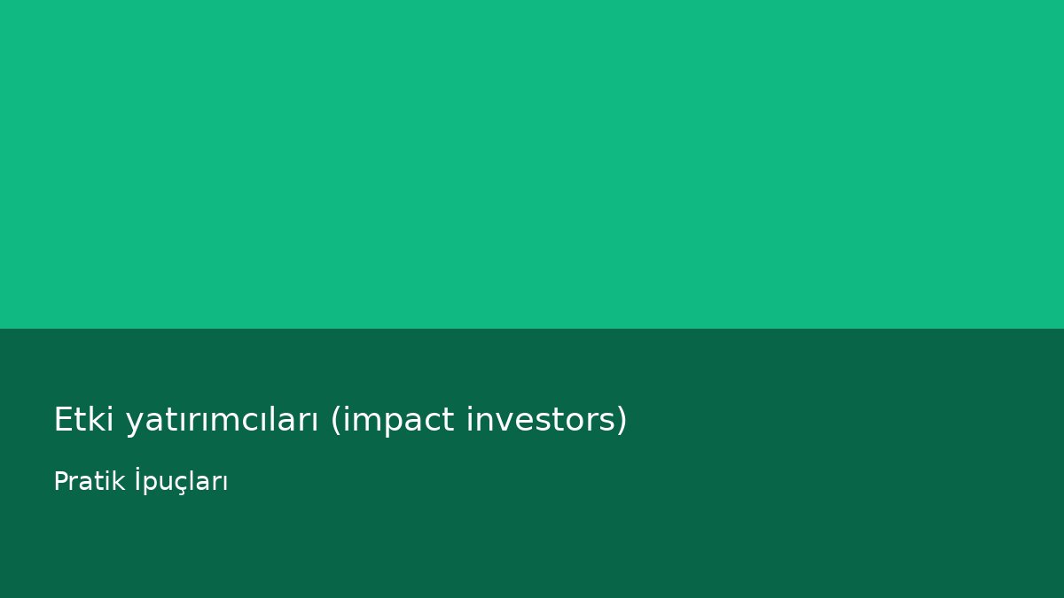 Etki yatırımcıları (impact investors) - Pratik İpuçları