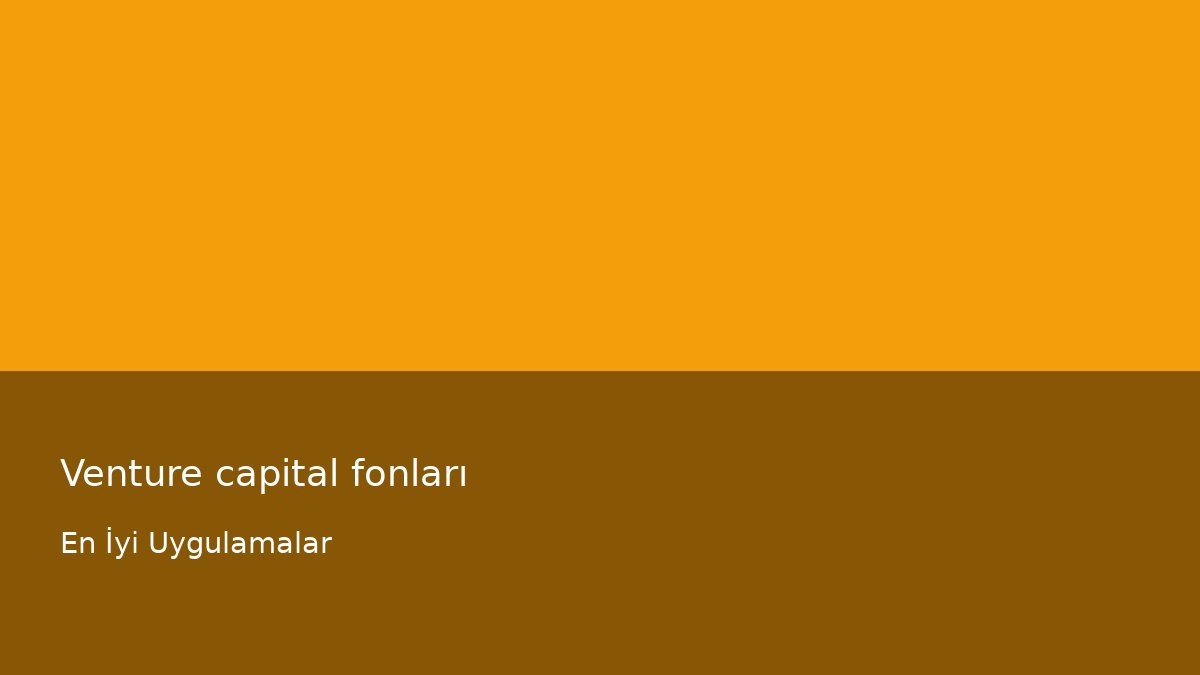 Venture capital fonları - En İyi Uygulamalar