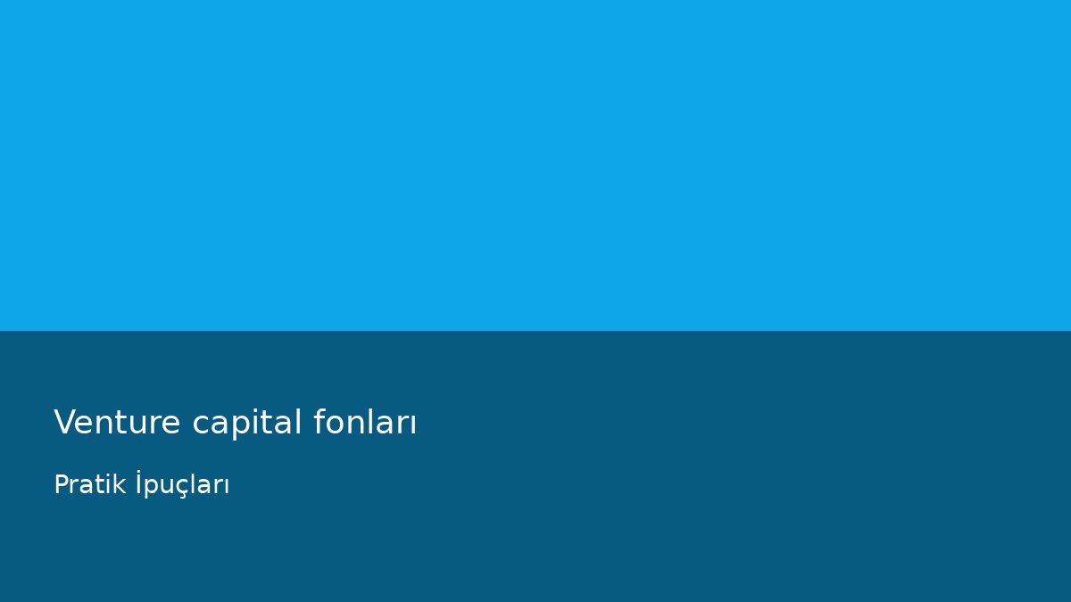 Venture capital fonları - Pratik İpuçları