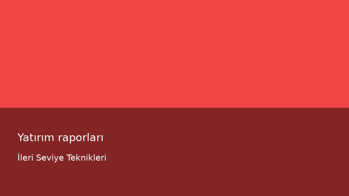 Yatırım raporları - İleri Seviye Teknikleri